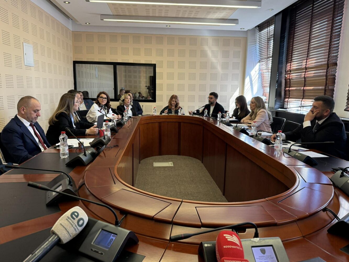 Behrami kërkon raportim të Trëndafilovës në Komisionin për të Drejtat e Njeriut