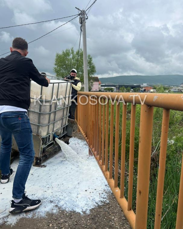 Fermerët hedhin qumështin në lum pas uljes së çmimit