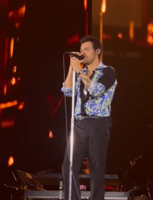 Harry Styles i bën dedikim Liam Payne në koncert  Pa miqtë e mi nuk do të isha këtu