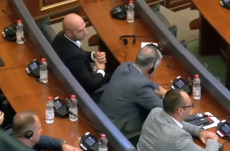 Edhe Stefanoviq dështon për nënkryetare të Kuvendit